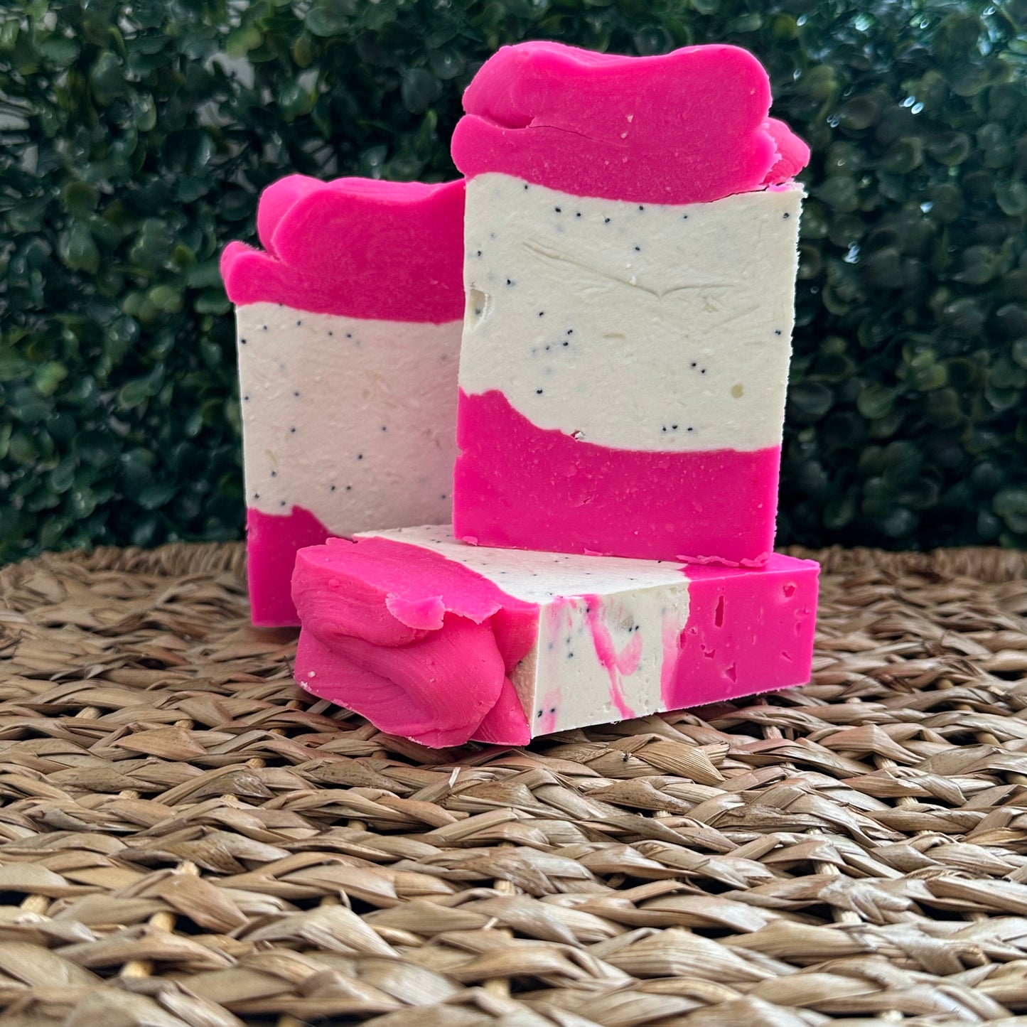 Pink Dragon Fruit *Pre order - Ships 3/5/25